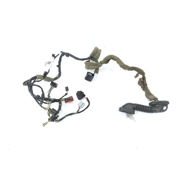 Chicote Porta Dianteira Esquerda Ford Focus 2016