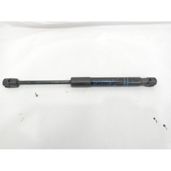 Amortecedor Direito Capô Bmw 320i 2014