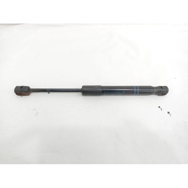 Amortecedor Esquerdo Capô Bmw 320i 2014