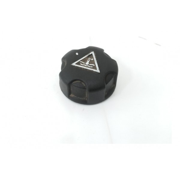 Tampa Reservatório Água Motor Citroen Jumpy 2020