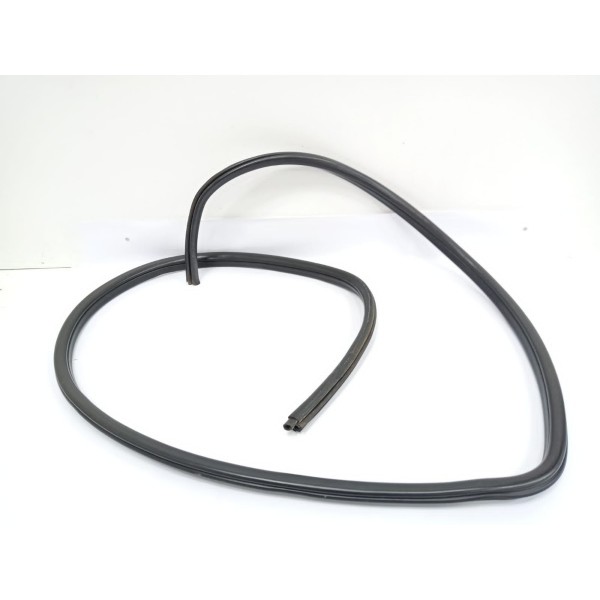 Borracha Porta Dianteira Direita Bmw X1 2012