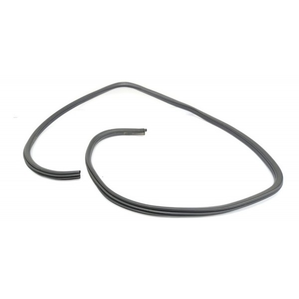 Borracha Porta Traseira Direita Bmw X1 2012