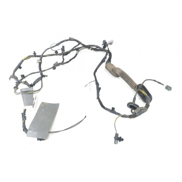 Chicote Tampa Traseira Ford Focus 2016 F1ft17n400