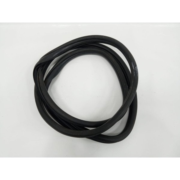 Borracha Porta Traseira Esquerda Hyundai Hb20s 1.0 2019