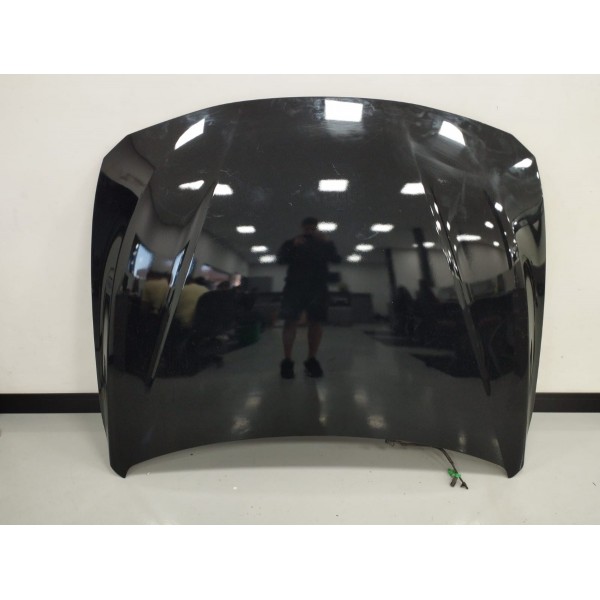 Capô Bmw 320i 2015 Recuperado