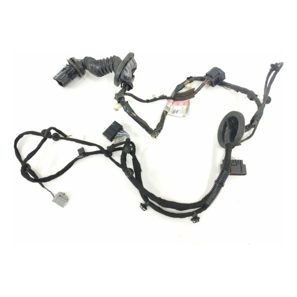 Chicote Porta Traseira Esquerda Ford Fusion 2015