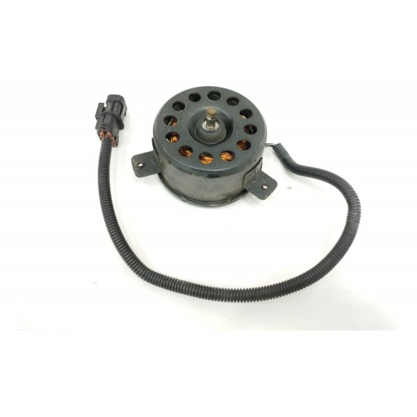 Motor Ventoinha Esquerda Hyundai Vera Cruz 3.8 2009