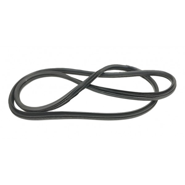 Borracha Porta Traseira Esquerda Hyundai Hb20 2019