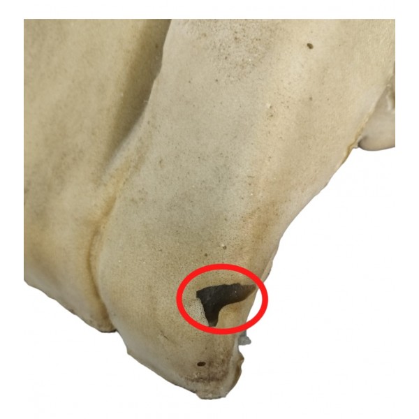 Espuma Encosto Banco Traseiro Esq Range Rover Sport 5.0 2012 Cáqui