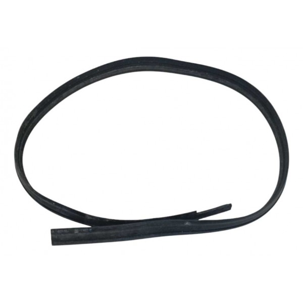 Borracha Superior Porta Esquerda Audi Rs5 4.2 V8 2011