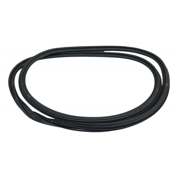 Borracha Porta Dianteira Esquerda Ford Focus 2015