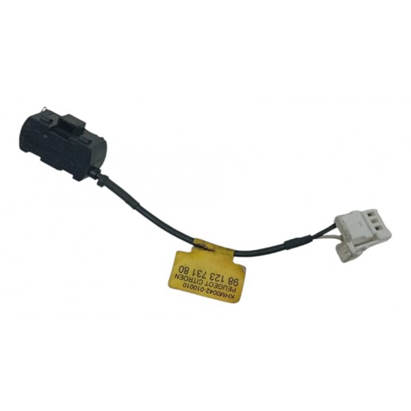 Microfone Teto Peugeot 2008 2019