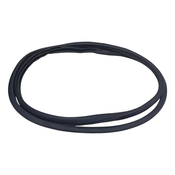 Borracha Porta Traseira Esquerda Nissan Leaf 2020 2021 2022