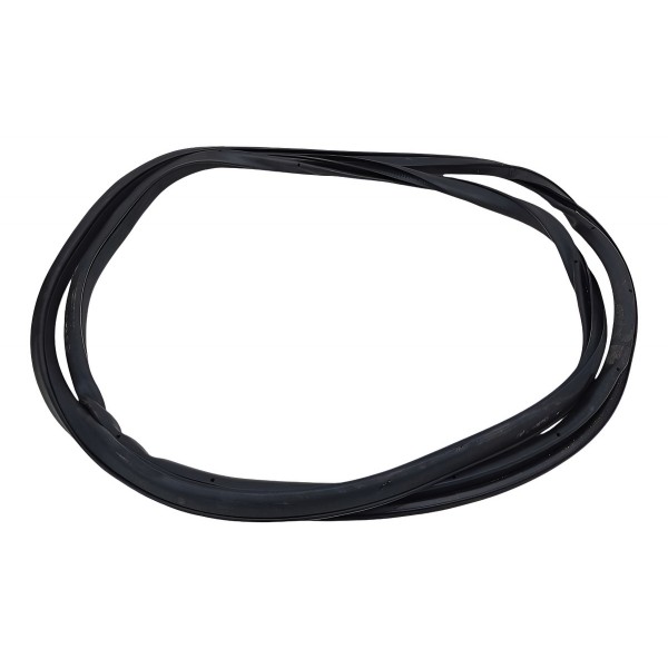 Borracha Porta Dianteira Esquerda Nissan Leaf 2020 2021 2022