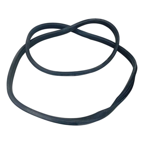 Borracha Porta Traseira Esquerda Renault Sandero 2018 Preto