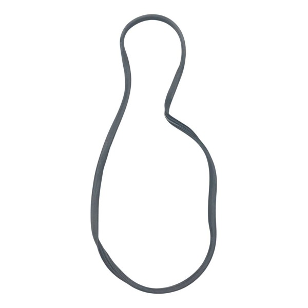 Borracha Porta Dianteira Esquerda Renault Sandero 2019 Preto