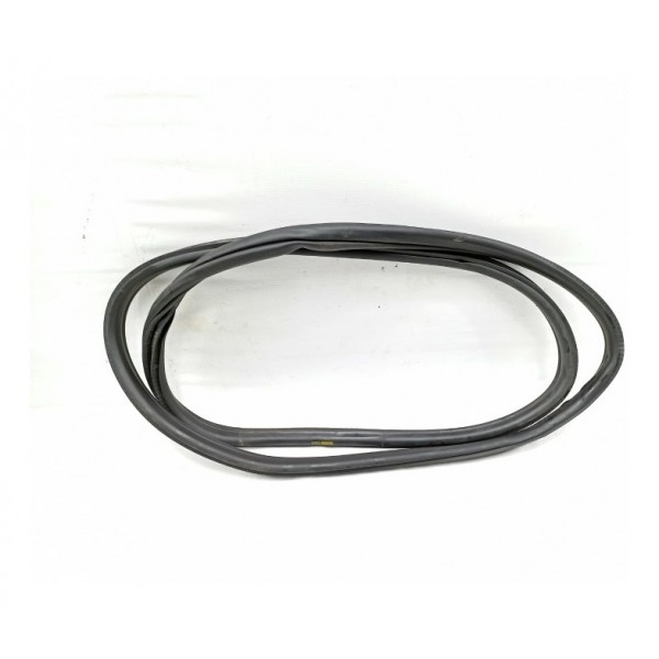 Borracha Porta Traseira Direita Bmw 320i 2014 2015          