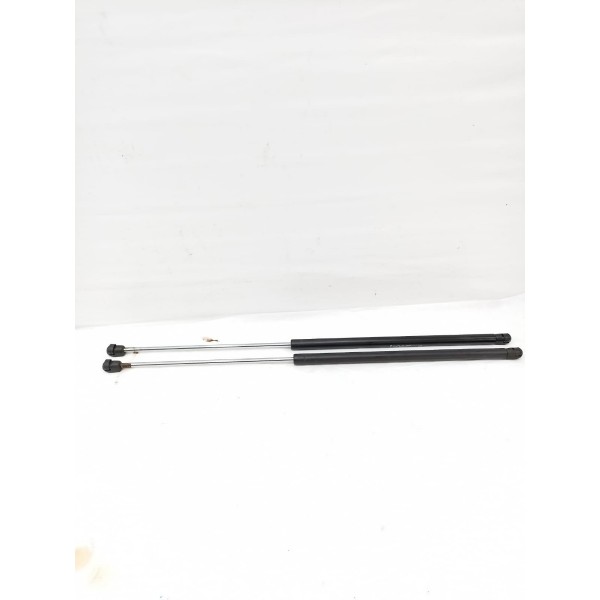 Par Amortecedor Tampa Traseira Citroen Picasso 2004