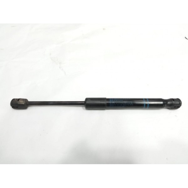 Amortecedor Capo Bmw 320i 2015 2485700610n