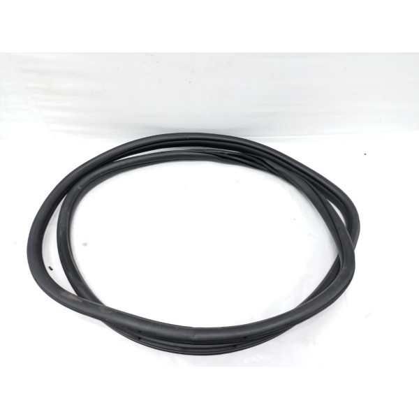 Borracha Porta Traseira Esquerda Bmw 320i 2015
