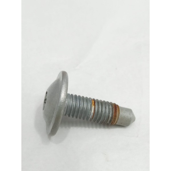 Parafuso Dobradiça Porta Citroen C4 Lounge 2017 Unidade