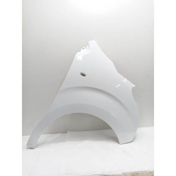 Paralama Dianteiro Direto Peugeot Expert 2021