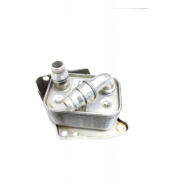 Radiador Trocar Óleo Bmw 320i 2011 257680