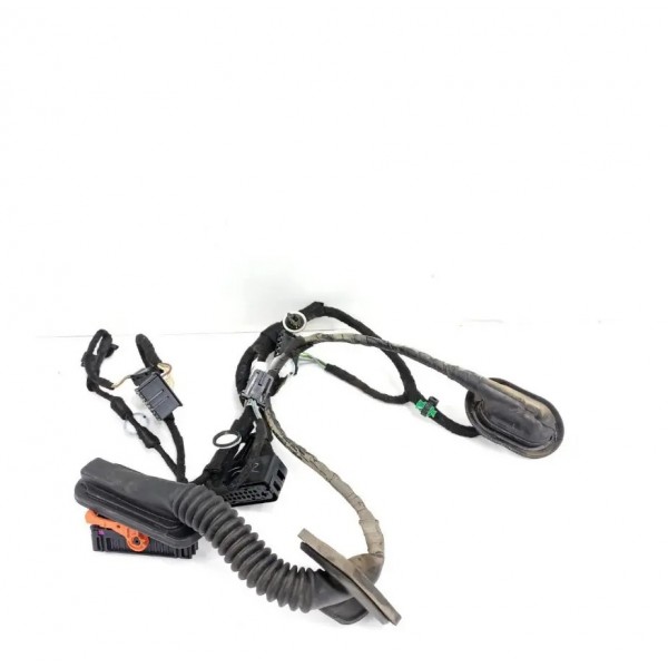 Chicote Porta Traseira Esquerda Vw Jetta 2014 5c7971693p