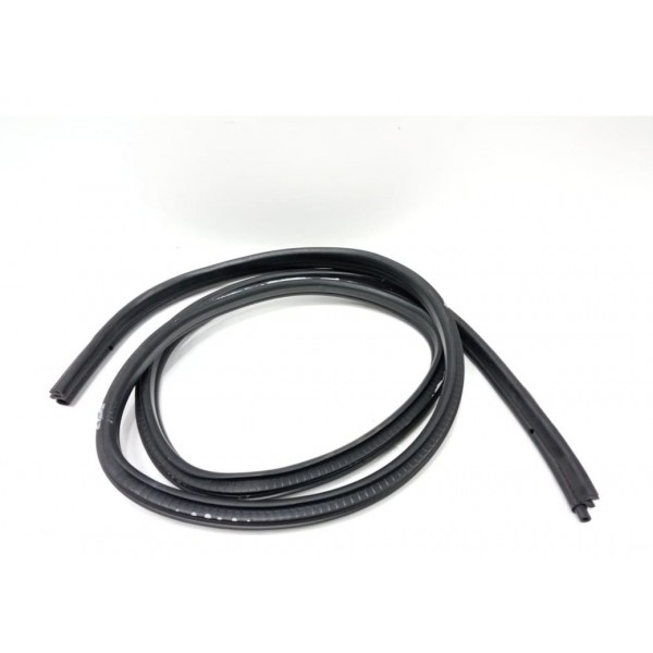 Borracha Porta Traseira Direita Bmw X1 2013