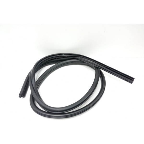 Borracha Porta Traseira Esquerda Bmw X1 2013